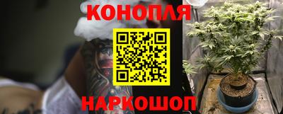 прущая мука Будённовск