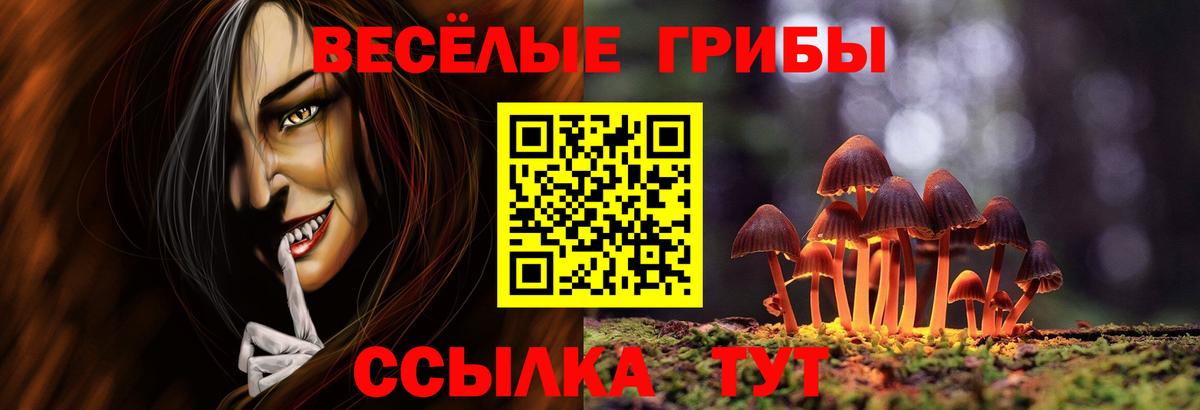 наркота  Вход с VPN  Тамбов  Галлюциногенные грибы Psilocybine cubensis  Псилоцибиновые грибы мухоморы 